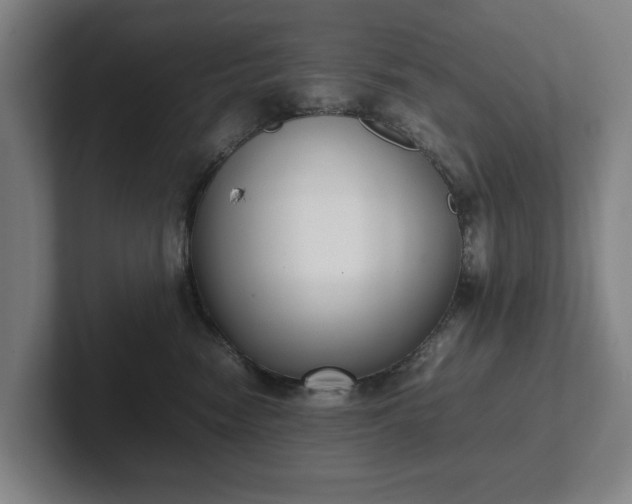 X0000101990474200807251229