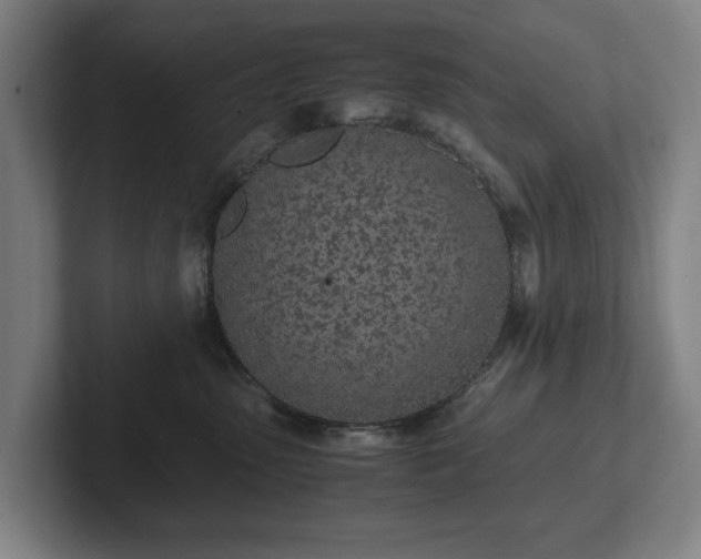 X0000101990475200807251229