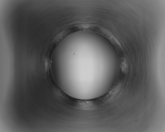 X0000101990476200807251229