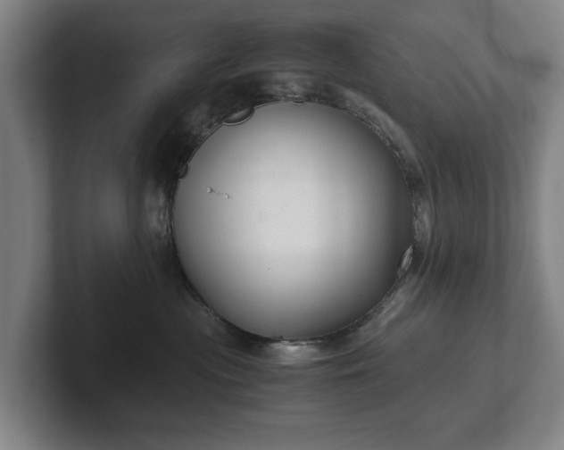 X0000101990477200807251229