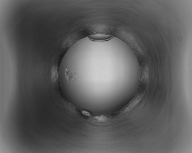 X0000101990478200807251229