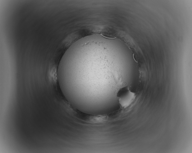 X0000101990479200807251229