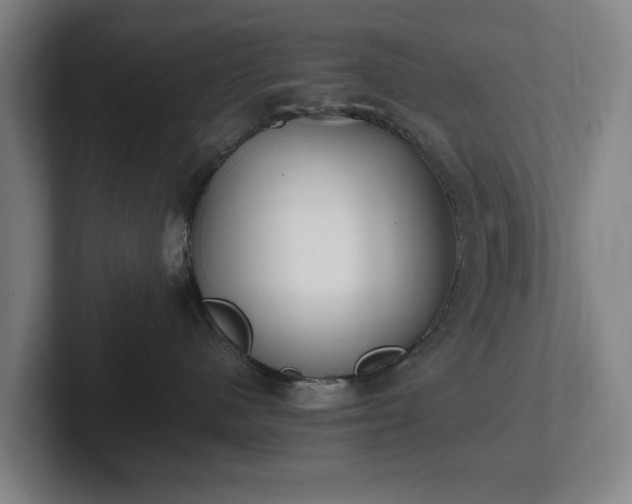 X0000101990480200807251229