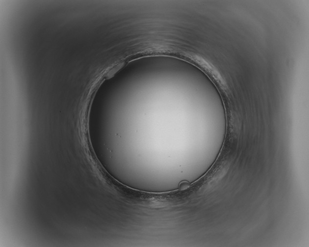 X0000101990481200807251229