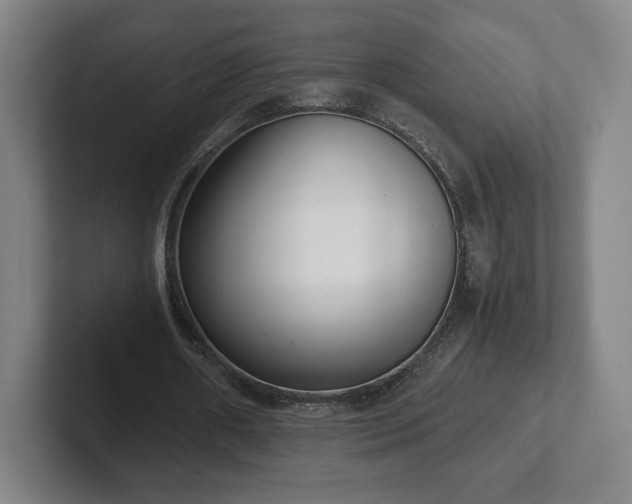 X0000101990482200807251229