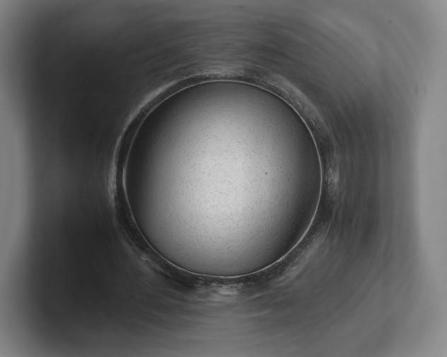 X0000101990484200807251229