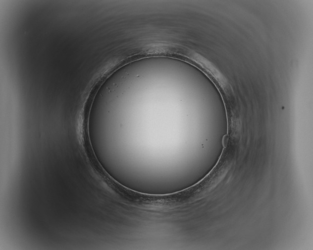 X0000101990485200807251229