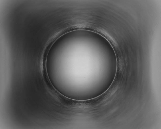X0000101990486200807251229