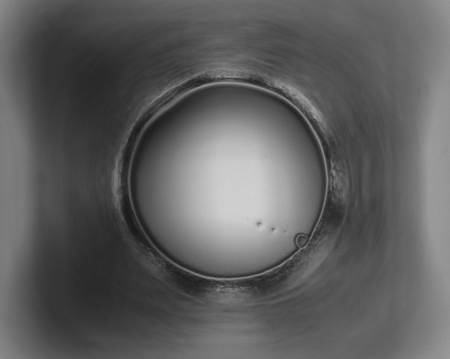 X0000101990487200807251229