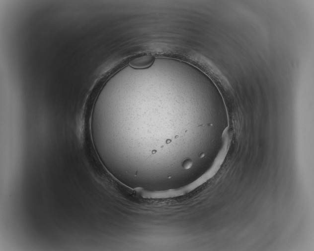X0000101990488200807251229