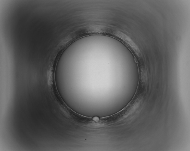 X0000101990489200807251229