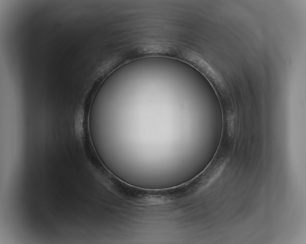 X0000101990490200807251229