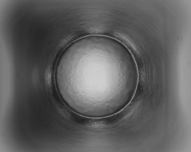 X0000101990491200807251229