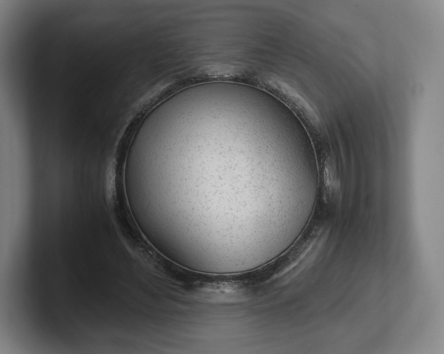 X0000101990492200807251229