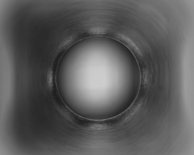 X0000101990494200807251229