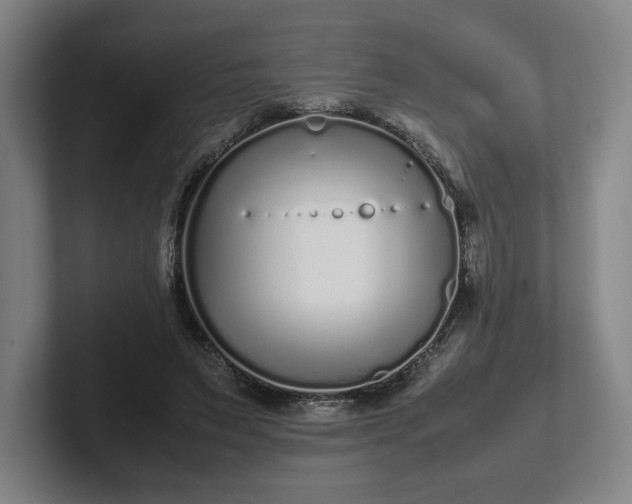 X0000101990495200807251229