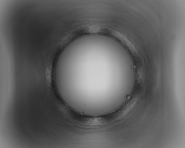 X0000101990497200807251229