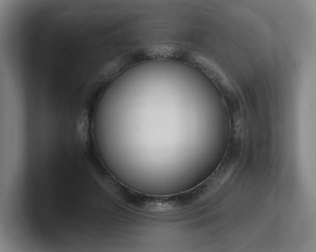 X0000101990498200807251229
