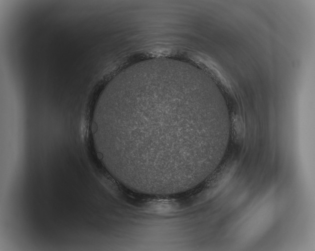 X0000101990499200807251229