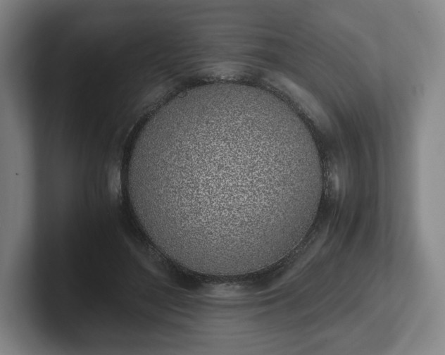 X0000101990500200807251229