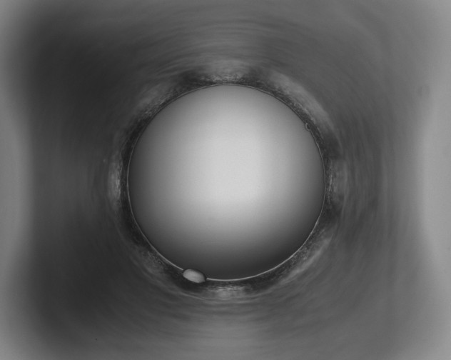 X0000101990501200807251229
