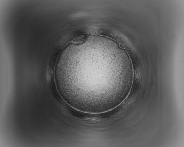 X0000101990503200807251229