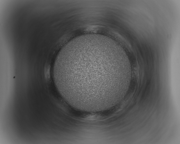X0000101990504200807251229