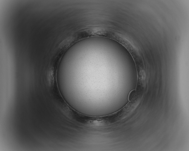 X0000101990506200807251229