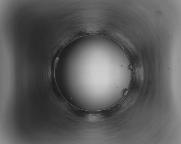 X0000101990508200807251228