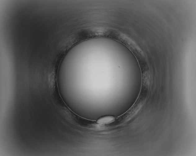 X0000101990509200807251228
