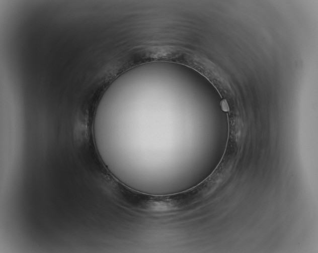 X0000101990510200807251228