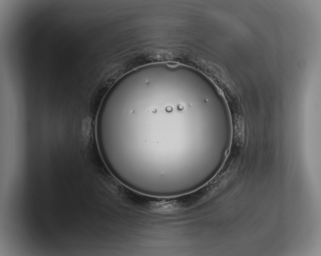 X0000101990511200807251228