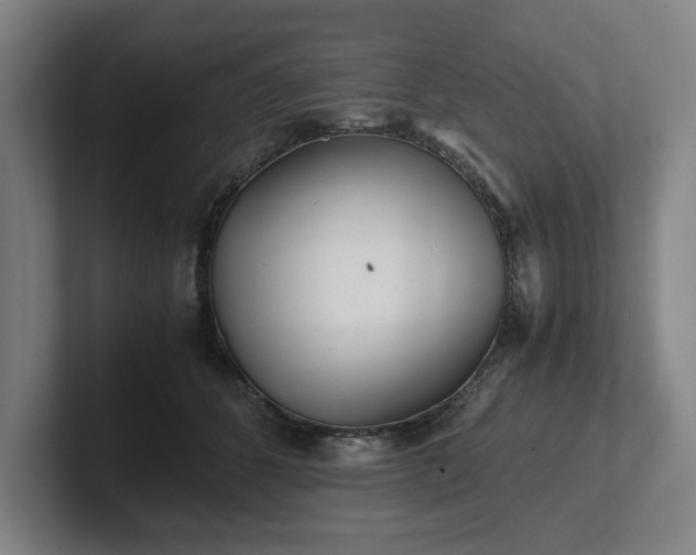 X0000101990512200807251228