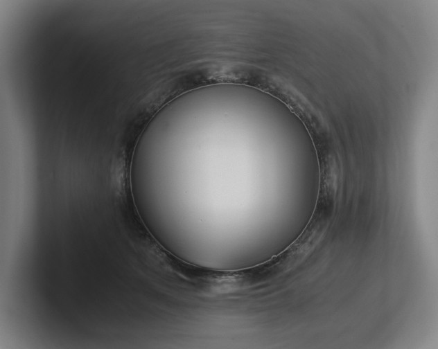X0000101990513200807251228