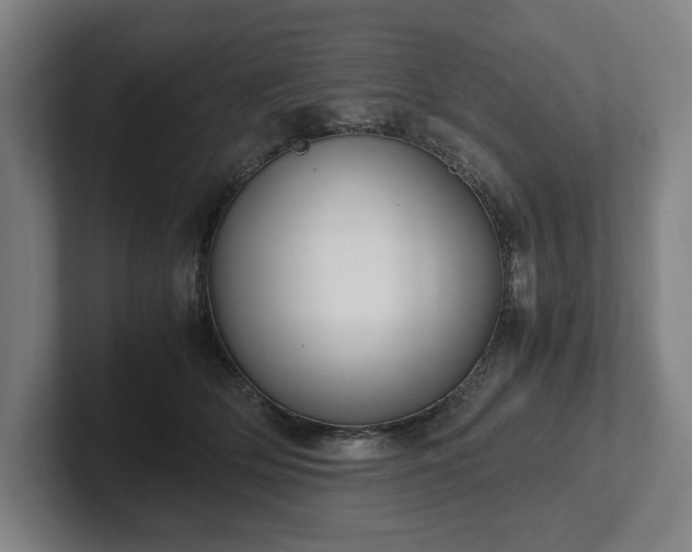 X0000101990514200807251228