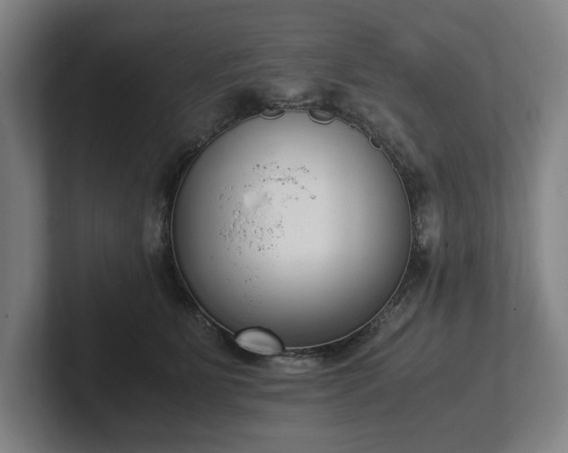 X0000101990515200807251228