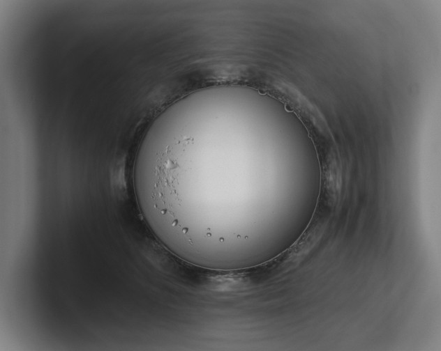 X0000101990516200807251228