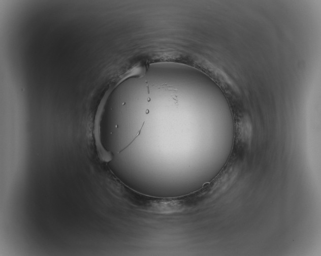 X0000101990517200807251228