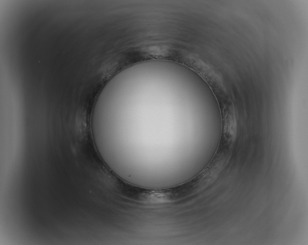X0000101990518200807251228
