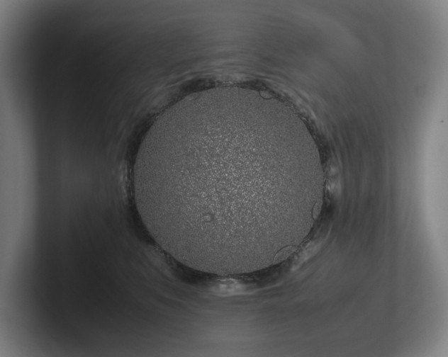 X0000101990519200807251228