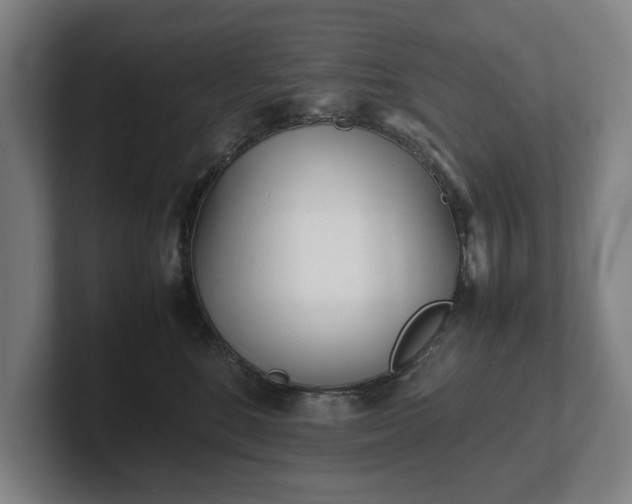 X0000101990520200807251228