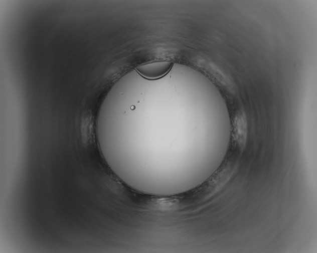 X0000101990522200807251228