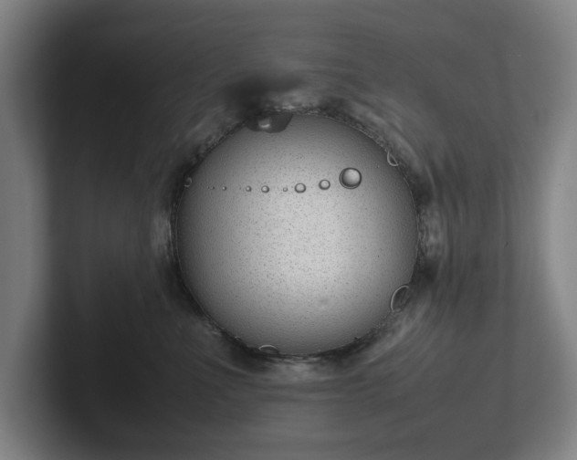X0000101990523200807251228