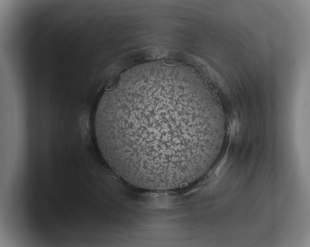 X0000101990524200807251228