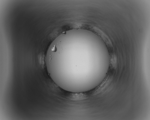 X0000101990525200807251228