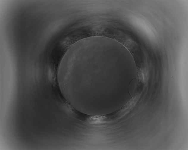 X0000101990526200807251228