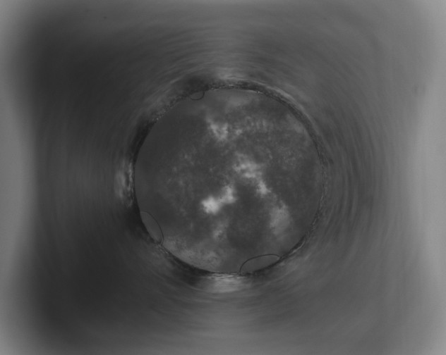 X0000101990528200807251228