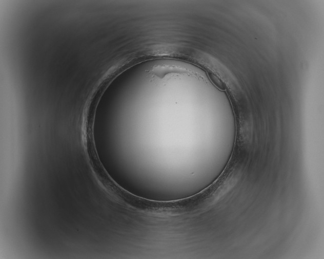 X0000101990530200807251228