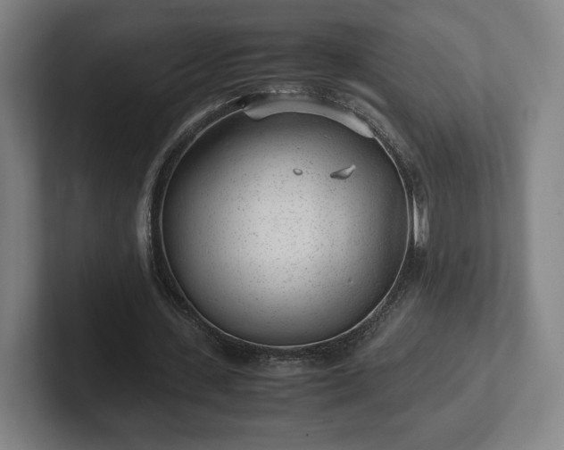 X0000101990531200807251228