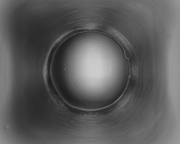 X0000101990532200807251228